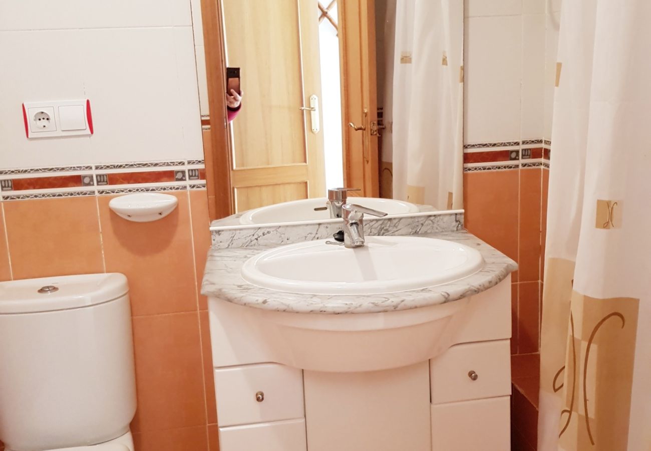Apartamento en Gandia - EL EDEN BL II - 2ª - 8º - C   /   PLAYA DE GANDIA