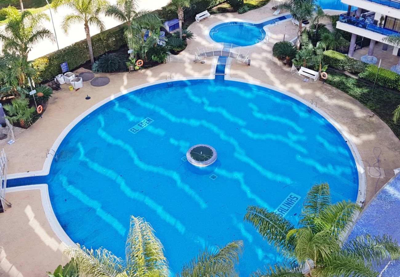 Apartamento en Gandia - EL EDEN BL II - 2ª - 8º - C   /   PLAYA DE GANDIA