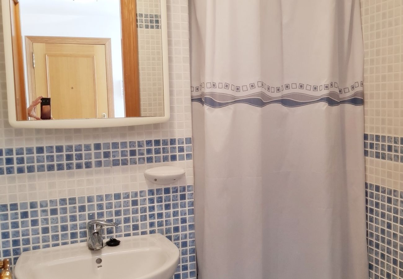Apartamento en Gandia - EL EDEN BL II - 2ª - 8º - C   /   PLAYA DE GANDIA