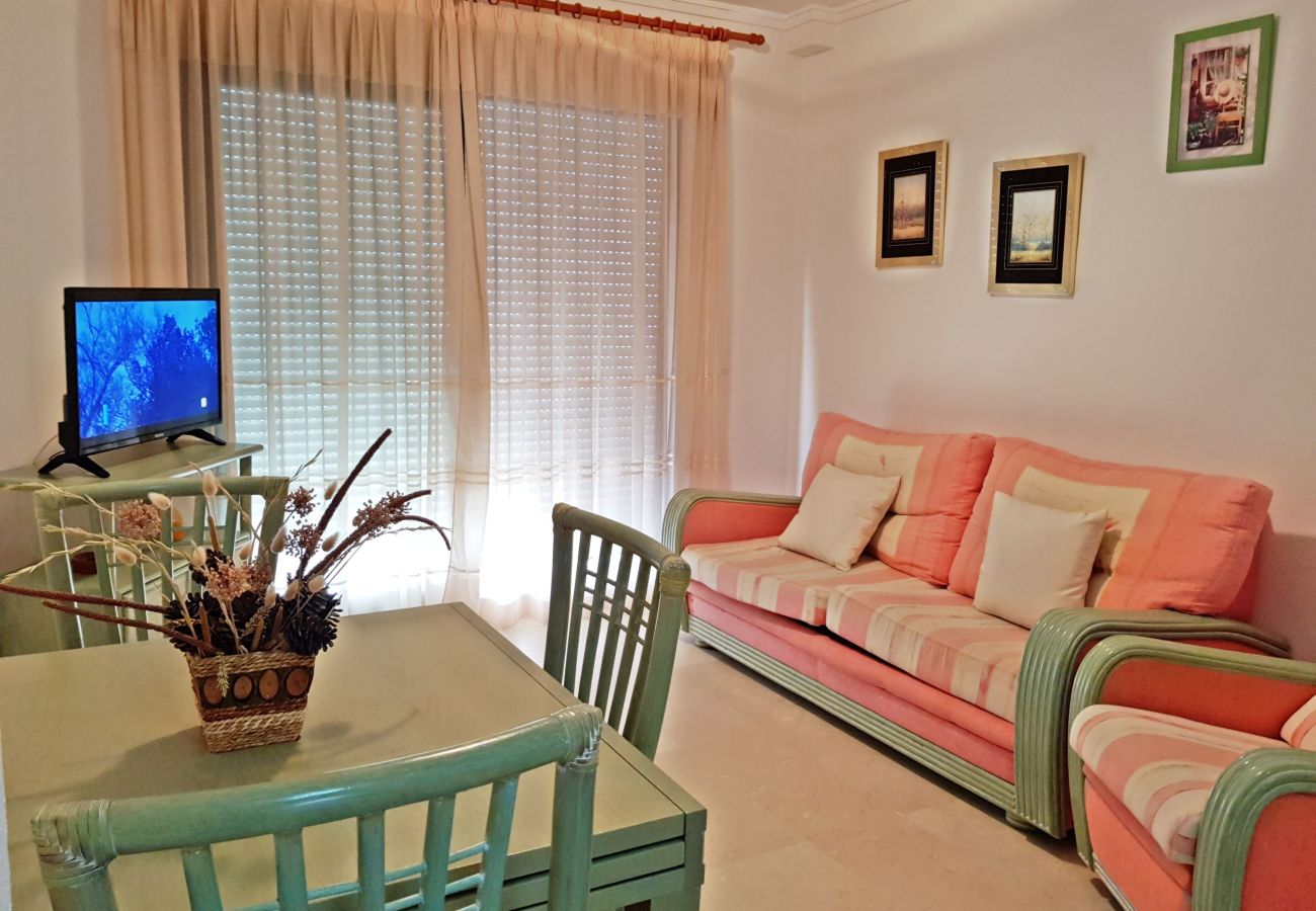 Apartamento en Gandia - EL EDEN BL II - 2ª - 8º - C   /   PLAYA DE GANDIA