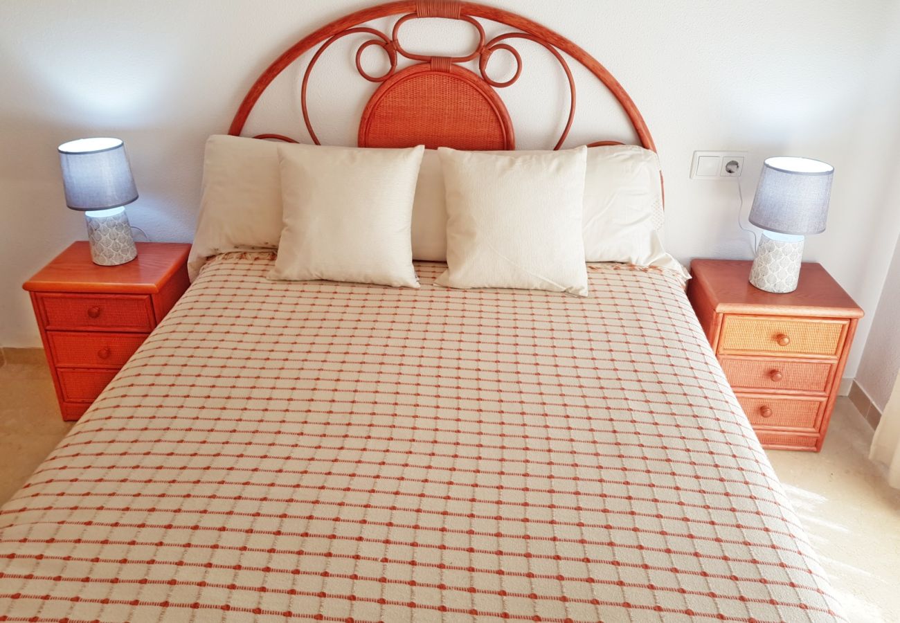 Apartamento en Gandia - EL EDEN BL II - 2ª - 8º - C   /   PLAYA DE GANDIA