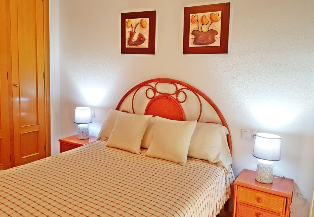 Apartamento en Gandia - EL EDEN BL II - 2ª - 8º - C   /   PLAYA DE GANDIA