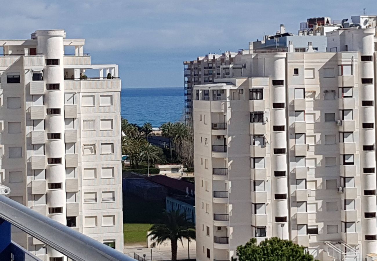 Apartamento en Gandia - EL EDEN BL II - 2ª - 8º - C   /   PLAYA DE GANDIA