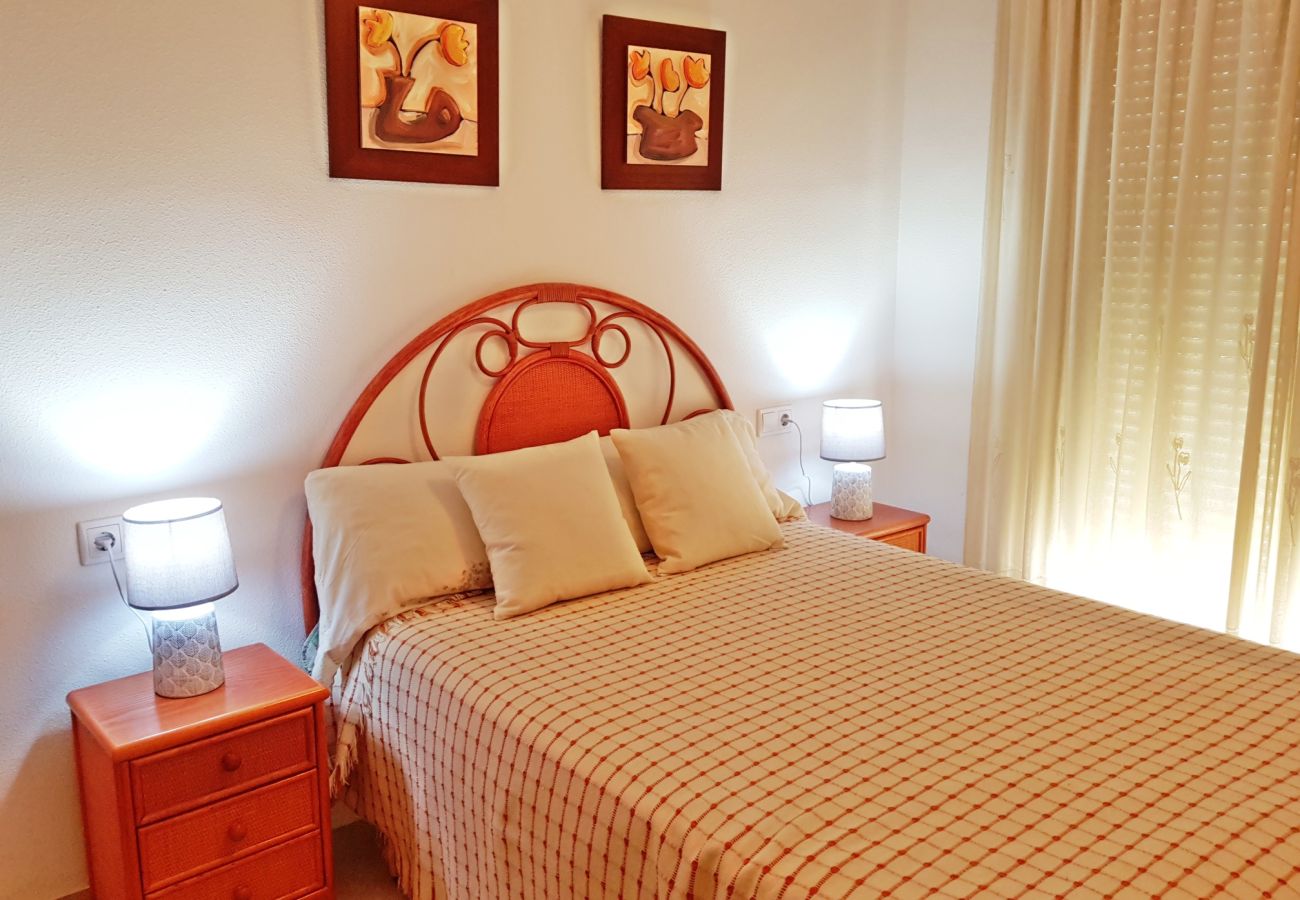 Apartamento en Gandia - EL EDEN BL II - 2ª - 8º - C   /   PLAYA DE GANDIA