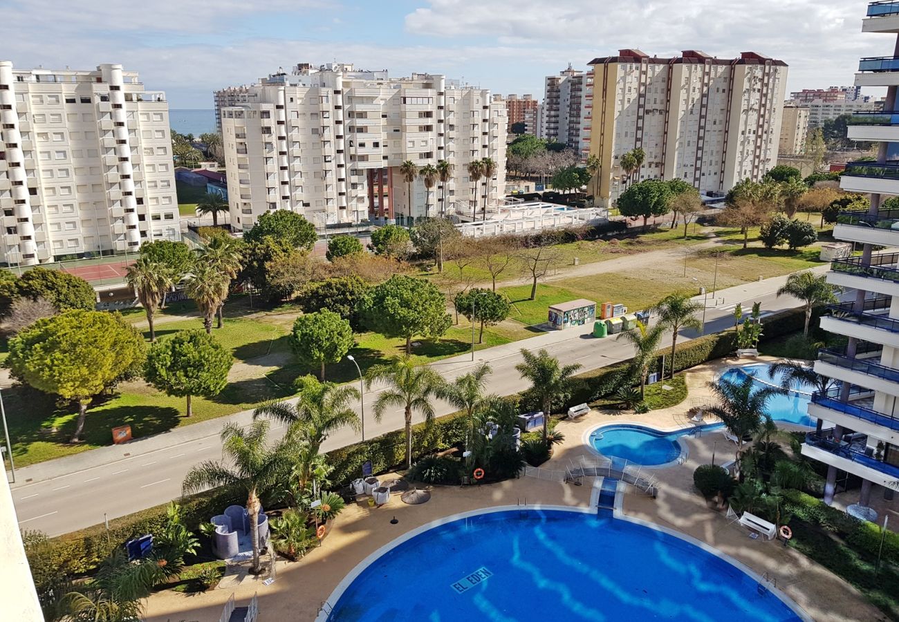 Apartamento en Gandia - EL EDEN BL II - 2ª - 8º - C   /   PLAYA DE GANDIA