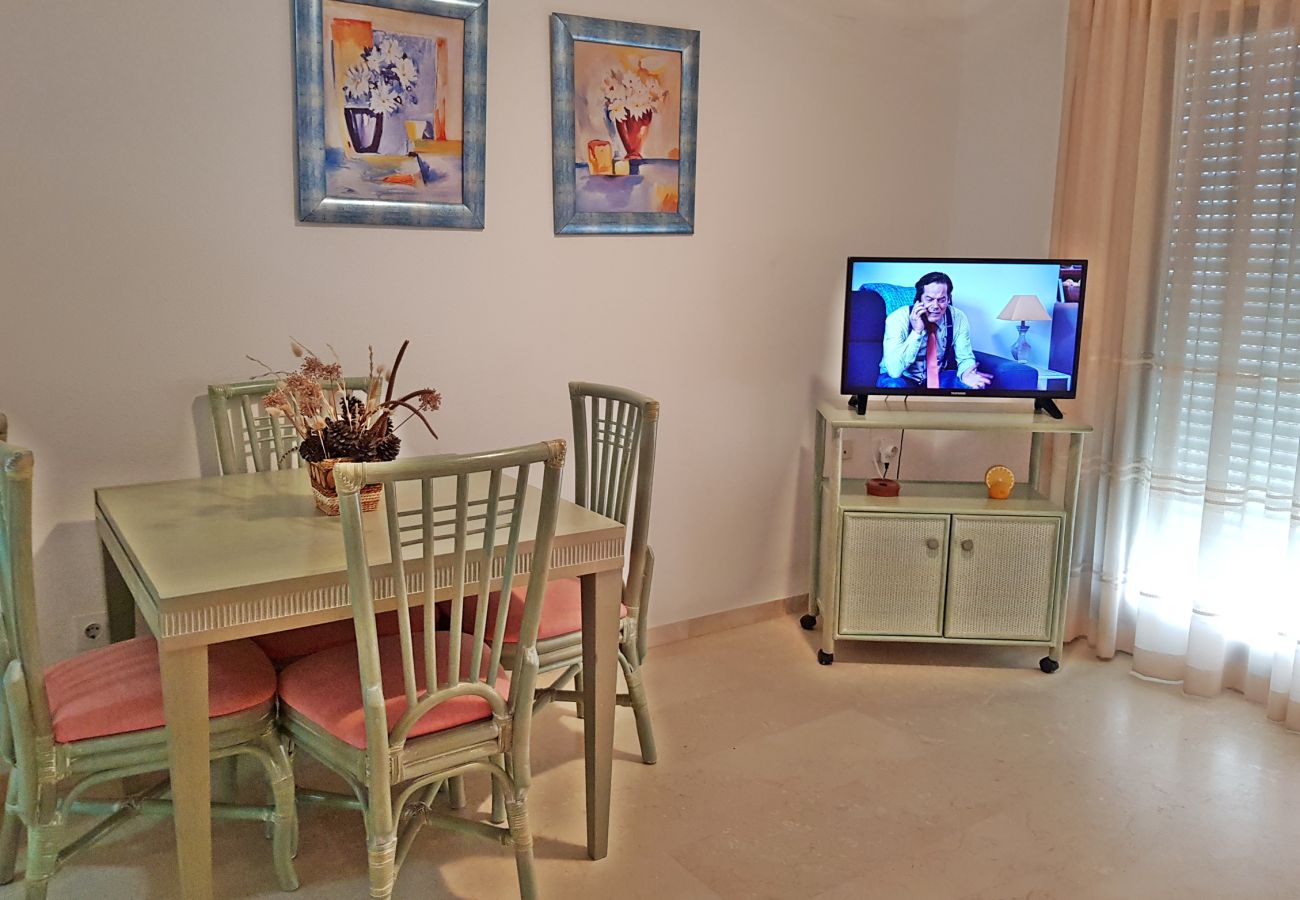Apartamento en Gandia - EL EDEN BL II - 2ª - 8º - C   /   PLAYA DE GANDIA