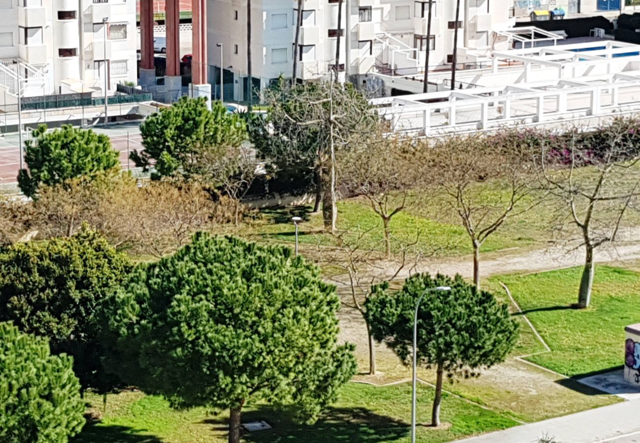 Apartamento en Gandia - EL EDEN BL II - 2ª - 8º - C   /   PLAYA DE GANDIA