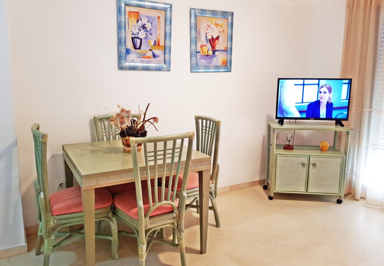 Apartamento en Gandia - EL EDEN BL II - 2ª - 8º - C   /   PLAYA DE GANDIA