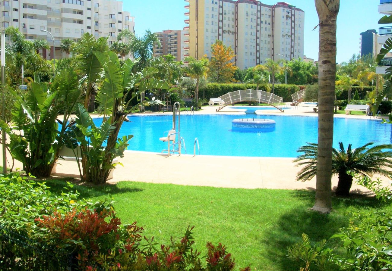 Apartamento en Gandia - EL EDEN BL II - 2ª - 8º - C   /   PLAYA DE GANDIA