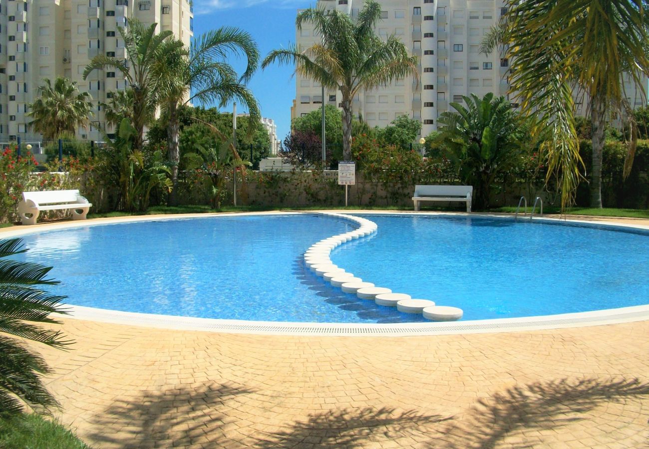 Apartamento en Gandia - EL EDEN BL II - 2ª - 8º - C   /   PLAYA DE GANDIA