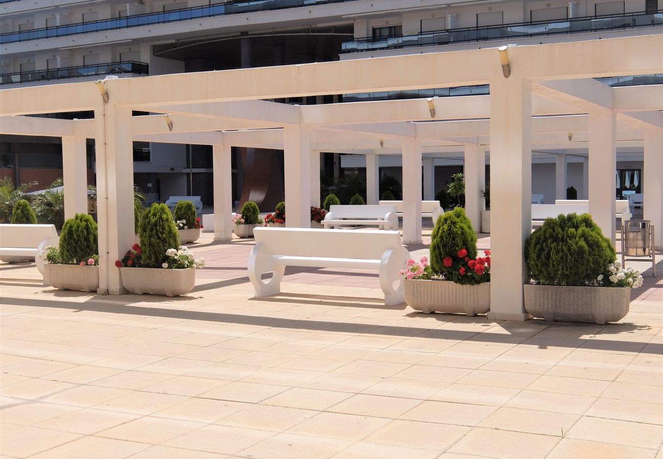 Apartamento en Gandia - EL EDEN BL II - 2ª - 8º - C   /   PLAYA DE GANDIA