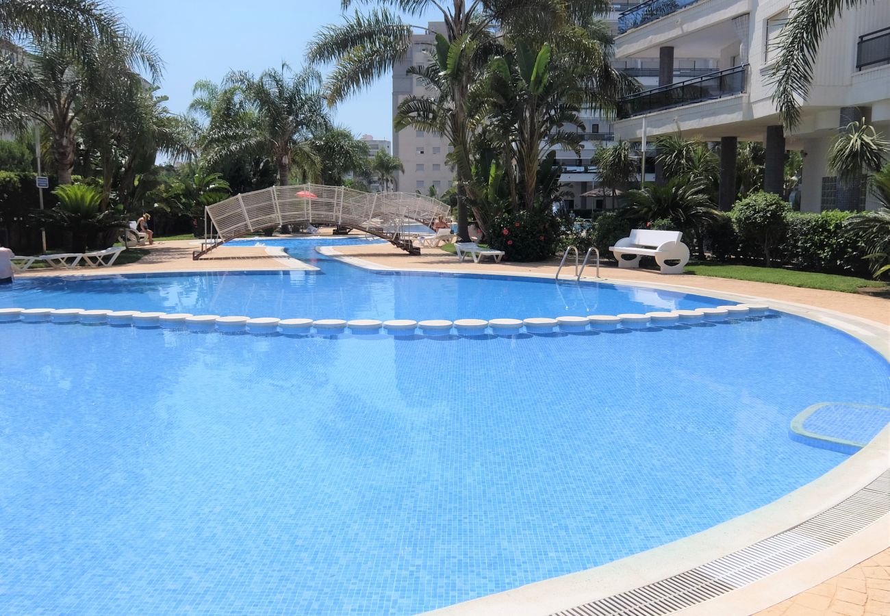 Apartamento en Gandia - EL EDEN BL II - 2ª - 8º - C   /   PLAYA DE GANDIA