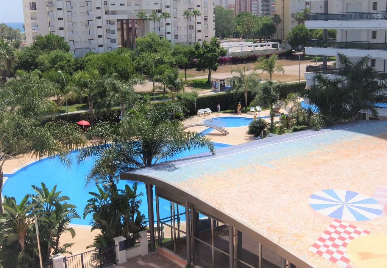 Apartamento en Gandia - EL EDEN BL II - 2ª - 8º - C   /   PLAYA DE GANDIA
