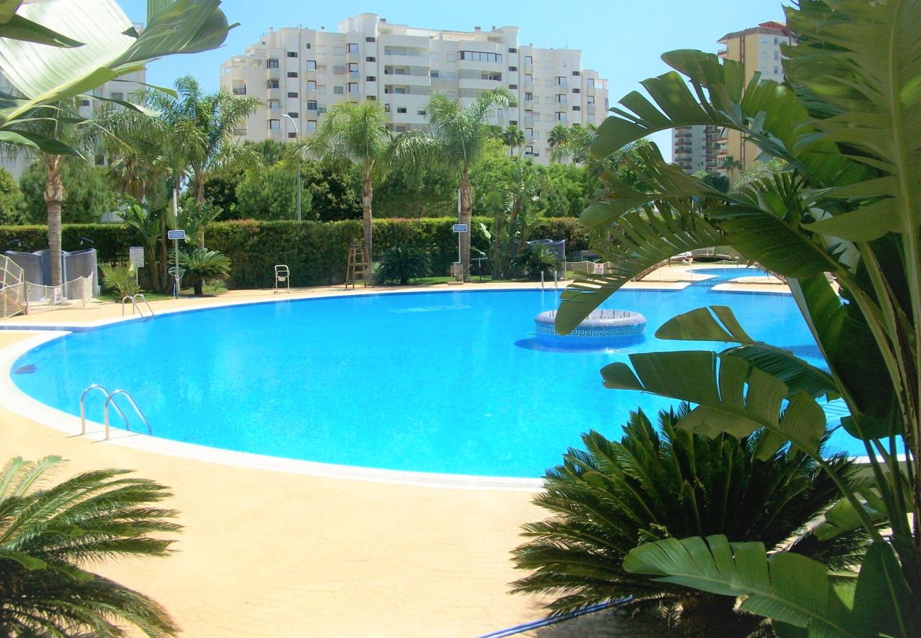 Apartamento en Gandia - EL EDEN BL II - 2ª - 8º - C   /   PLAYA DE GANDIA