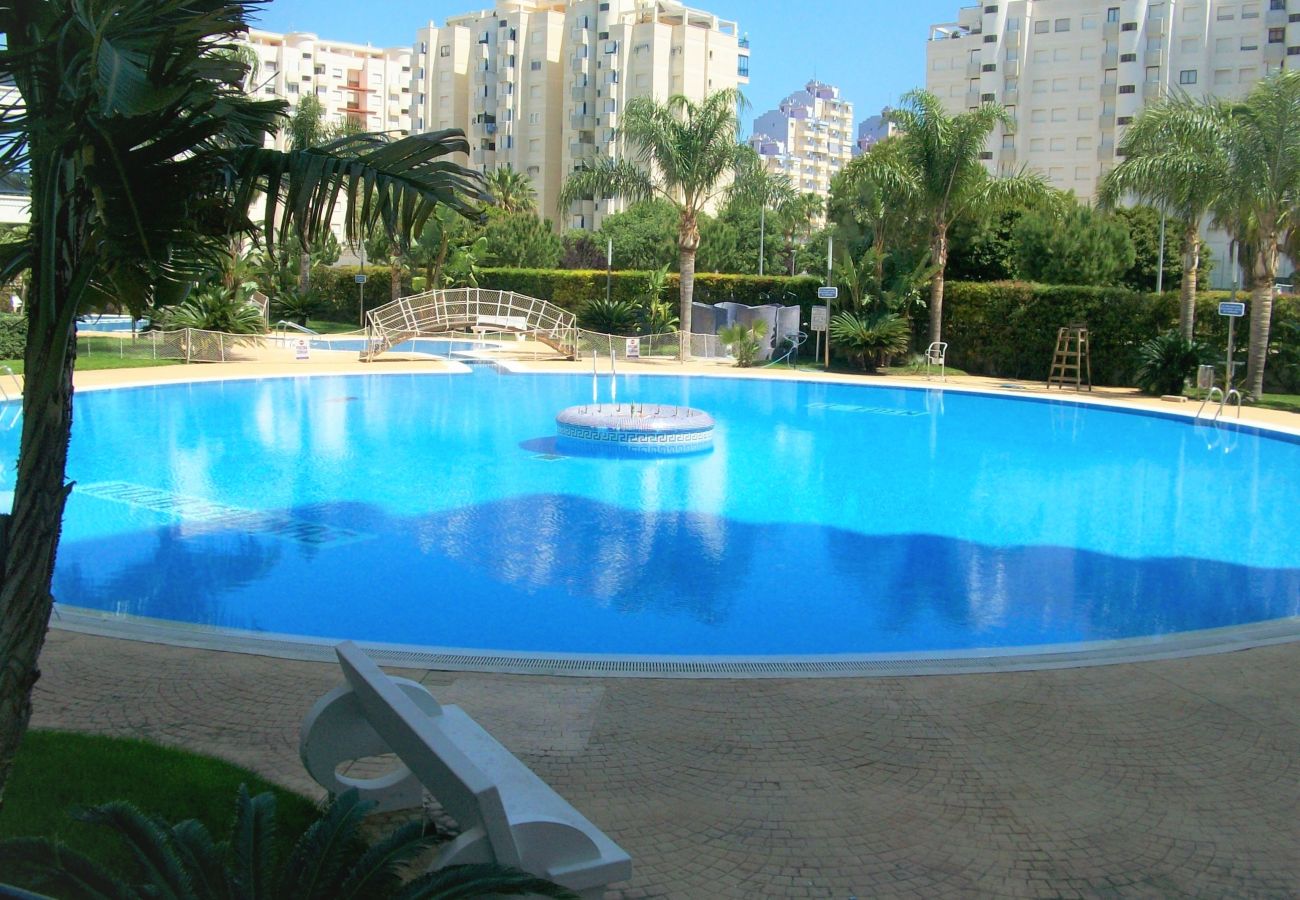 Apartamento en Gandia - EL EDEN BL II - 2ª - 8º - C   /   PLAYA DE GANDIA