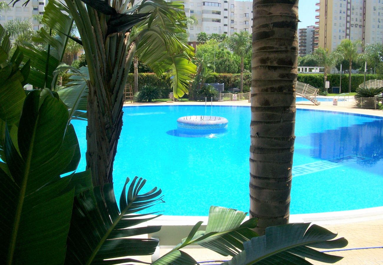 Apartamento en Gandia - EL EDEN BL II - 2ª - 8º - C   /   PLAYA DE GANDIA