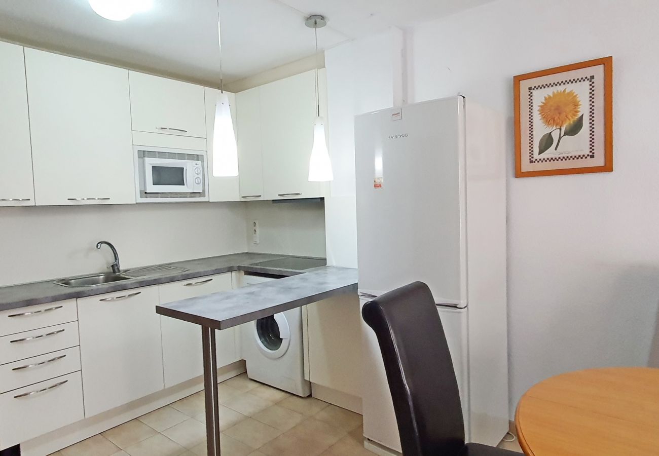 Apartamento en Gandia - LOS IRIS B - 1º - 7ª    /    PLAYA DE GANDIA