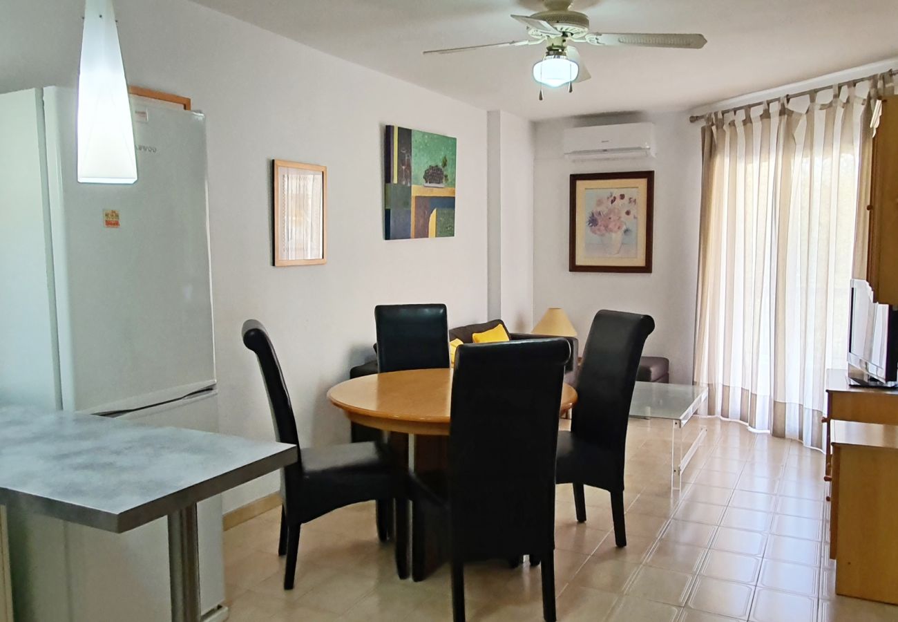 Apartamento en Gandia - LOS IRIS B - 1º - 7ª    /    PLAYA DE GANDIA