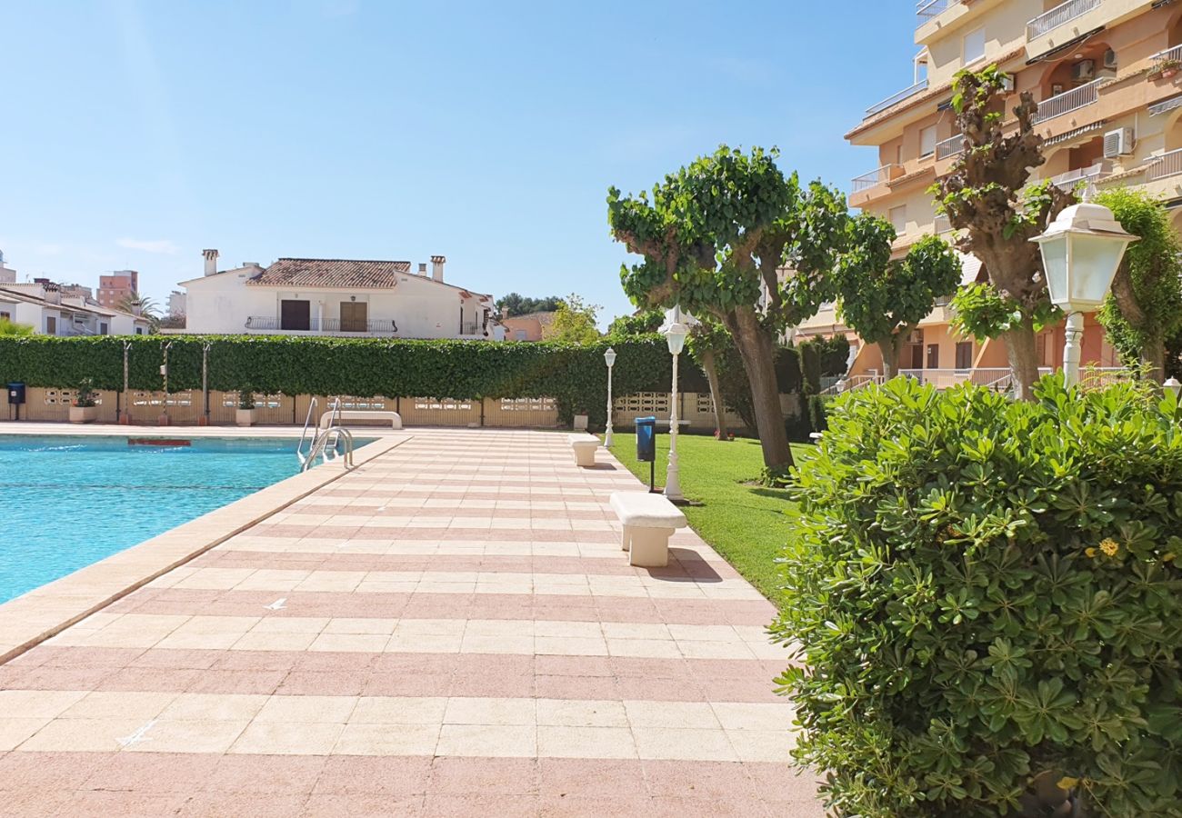 Apartamento en Gandia - LOS IRIS B - 1º - 7ª    /    PLAYA DE GANDIA