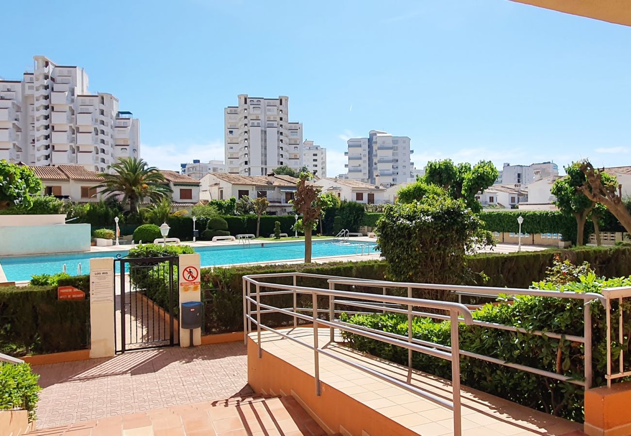 Apartamento en Gandia - LOS IRIS B - 1º - 7ª    /    PLAYA DE GANDIA