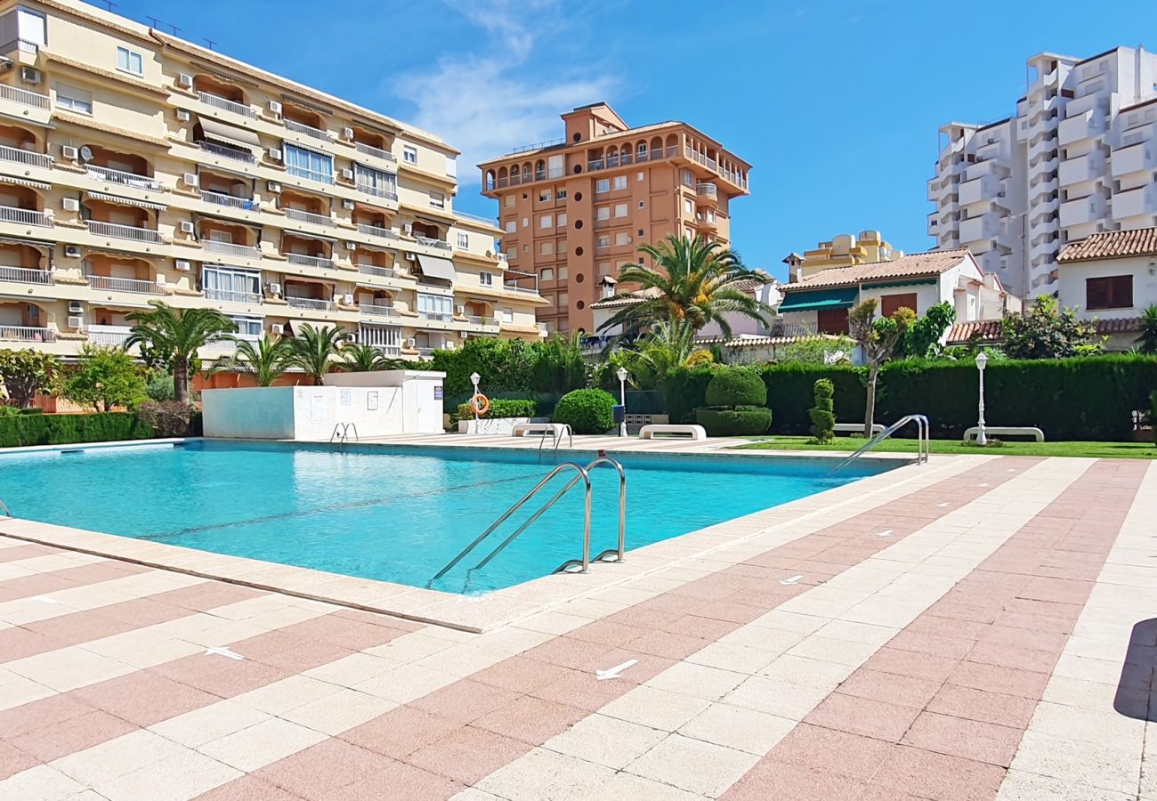Apartamento en Gandia - LOS IRIS B - 1º - 7ª    /    PLAYA DE GANDIA