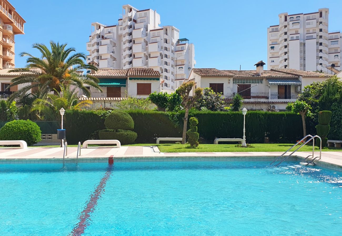 Apartamento en Gandia - LOS IRIS B - 1º - 8ª    /   PLAYA DE GANDIA
