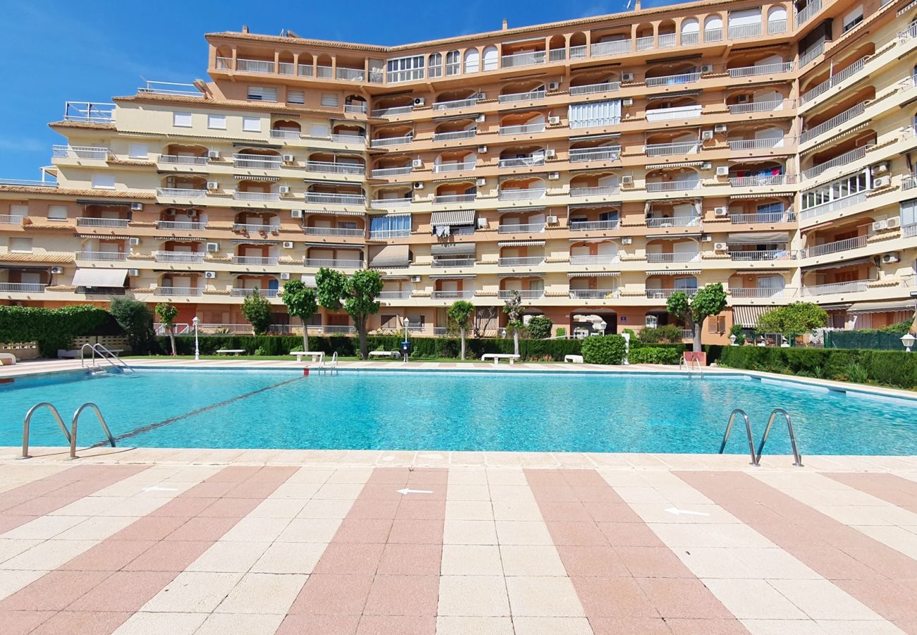 Apartamento en Gandia - LOS IRIS B - 1º - 8ª    /   PLAYA DE GANDIA