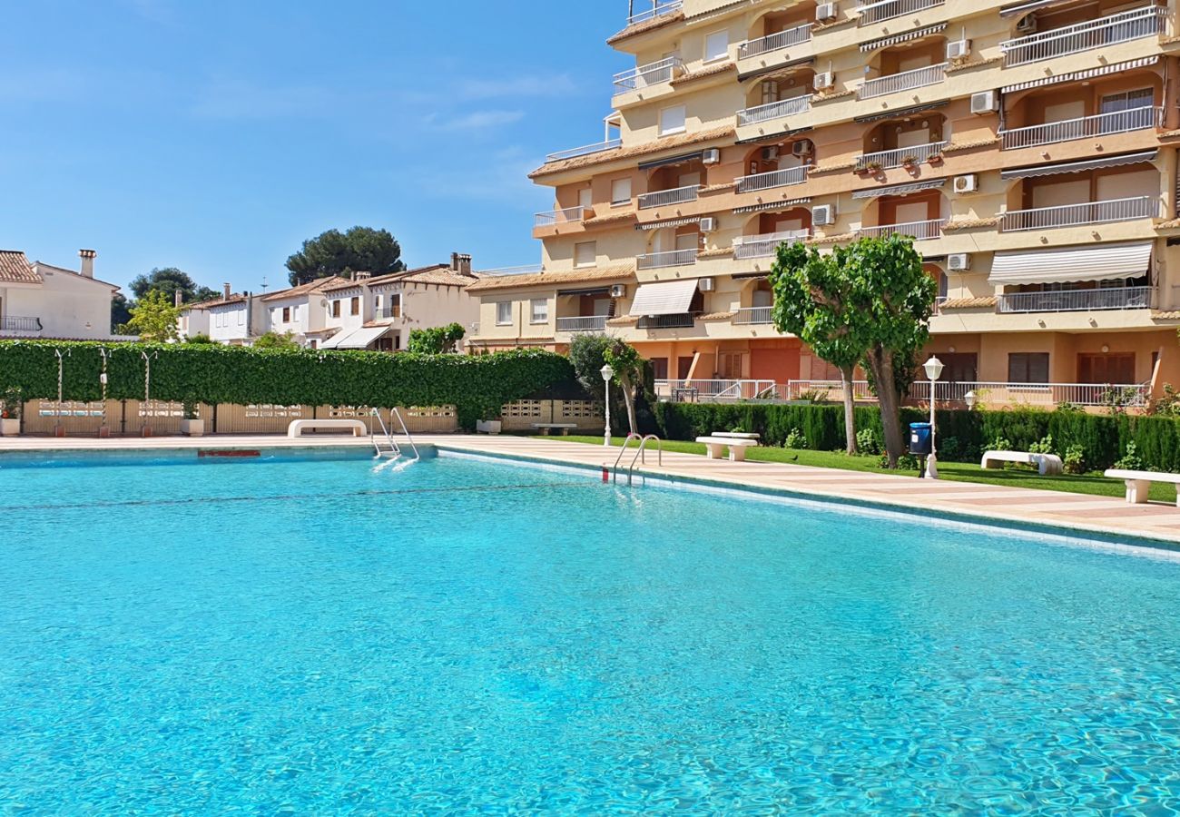 Apartamento en Gandia - LOS IRIS B - 1º - 8ª    /   PLAYA DE GANDIA