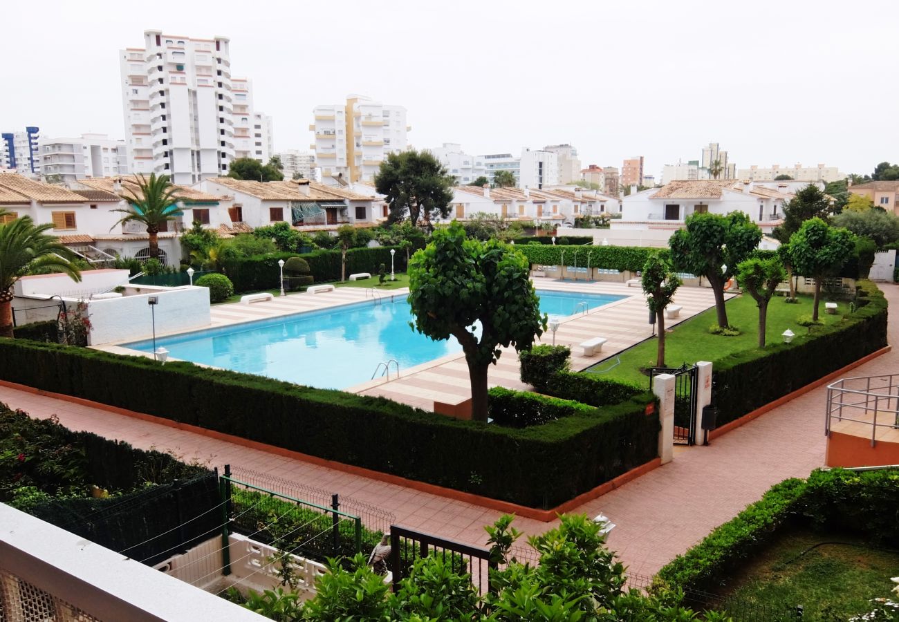Apartamento en Gandia - LOS IRIS B - 1º - 8ª    /   PLAYA DE GANDIA
