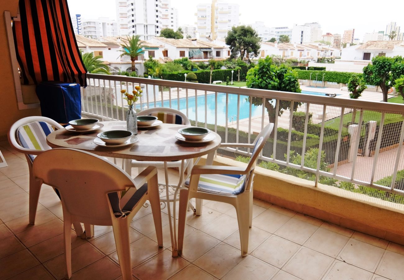Apartamento en Gandia - LOS IRIS B - 1º - 8ª    /   PLAYA DE GANDIA