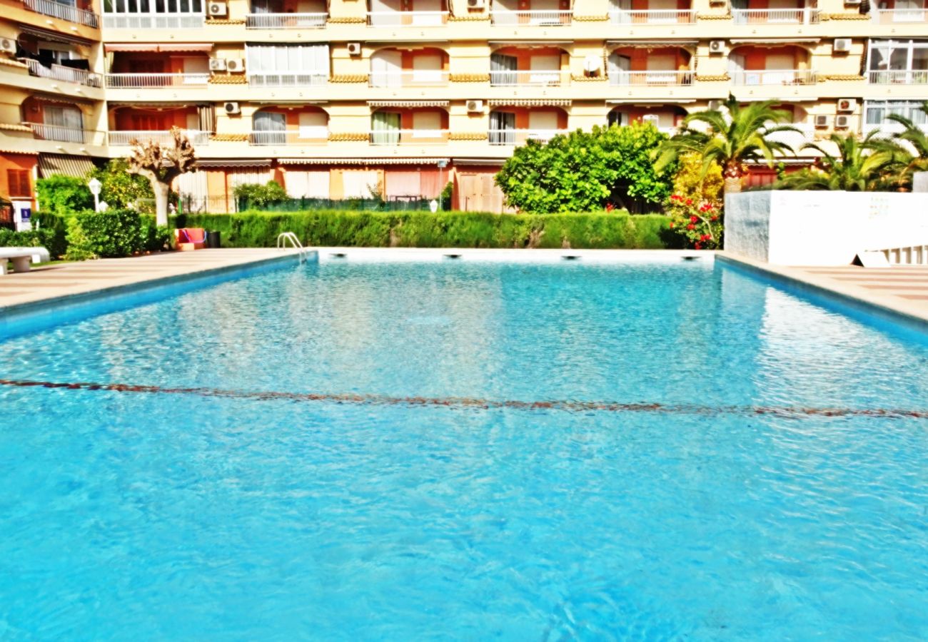 Apartamento en Gandia - LOS IRIS B - 1º - 8ª    /   PLAYA DE GANDIA