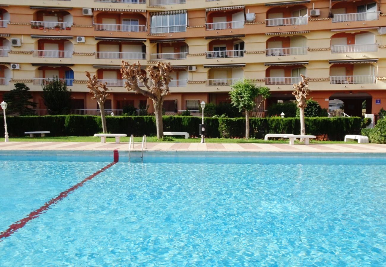Apartamento en Gandia - LOS IRIS B - 1º - 8ª    /   PLAYA DE GANDIA
