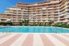 Apartamento en Gandia - LOS IRIS B - 1º - 8ª    /   PLAYA DE GANDIA