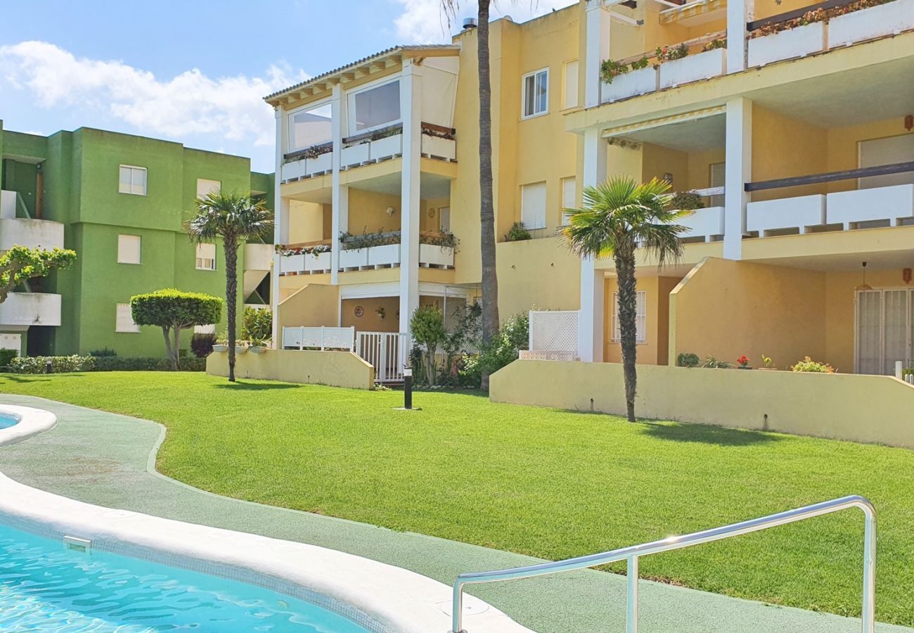 Apartamento en Xeraco - LOS LIRIOS 7ª - 2º - 26ª   /    PLAYA DE XERACO