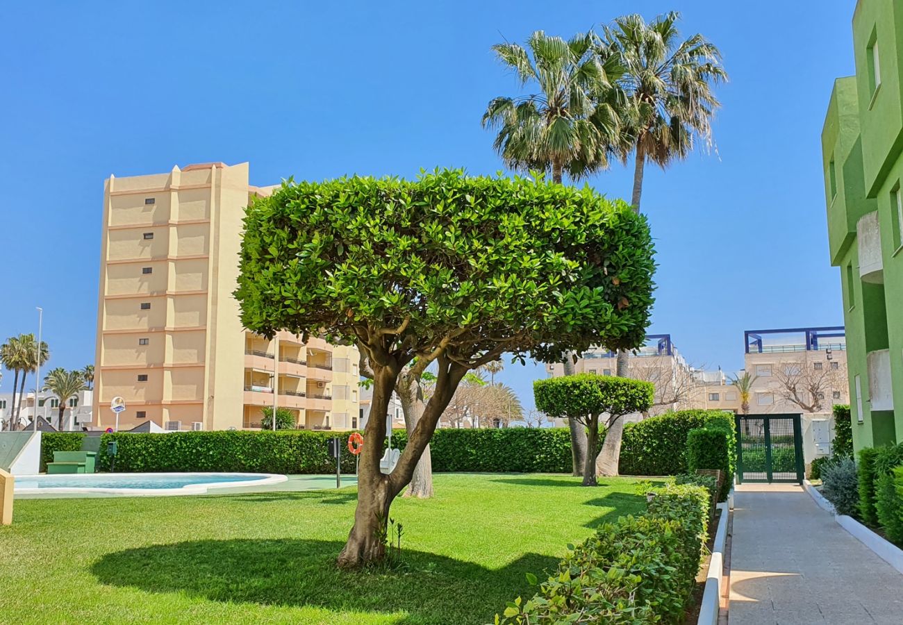 Apartamento en Xeraco - LOS LIRIOS 7ª - 2º - 26ª   /    PLAYA DE XERACO
