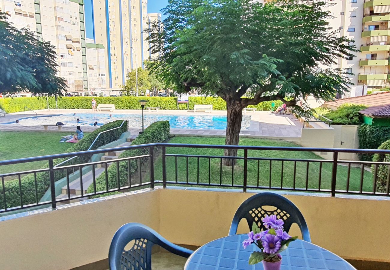 Apartamento en Gandia - GARDENIAS I - 3ª - 1º - F    /   PLAYA DE GANDIA