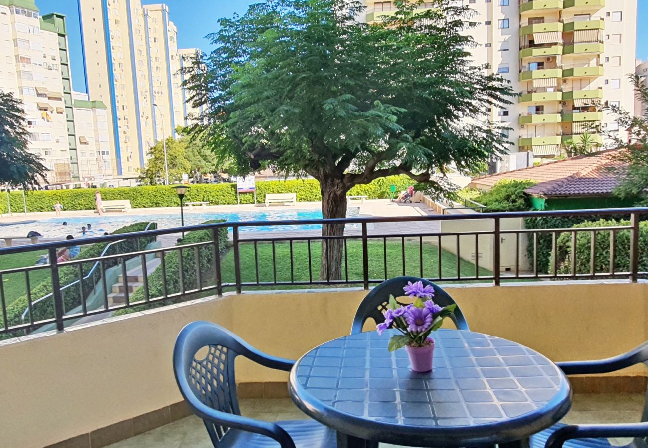 Apartamento en Gandia - GARDENIAS I - 3ª - 1º - F    /   PLAYA DE GANDIA