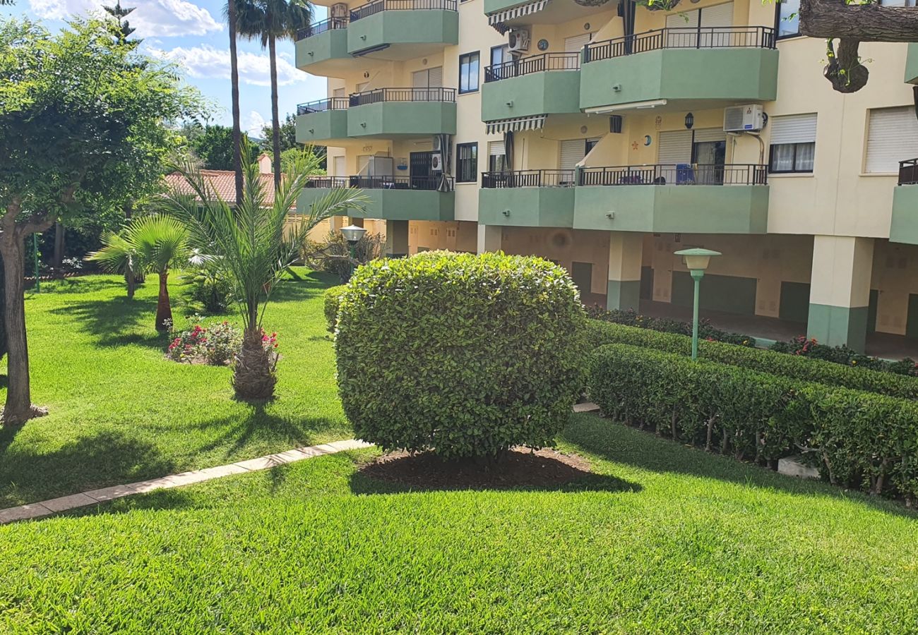Apartamento en Gandia - GARDENIAS I - 3ª - 1º - F    /   PLAYA DE GANDIA