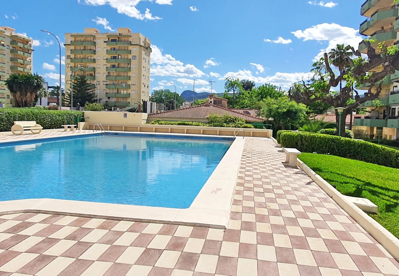 Apartamento en Gandia - GARDENIAS I - 3ª - 9º - E    /   PLAYA DE GANDIA