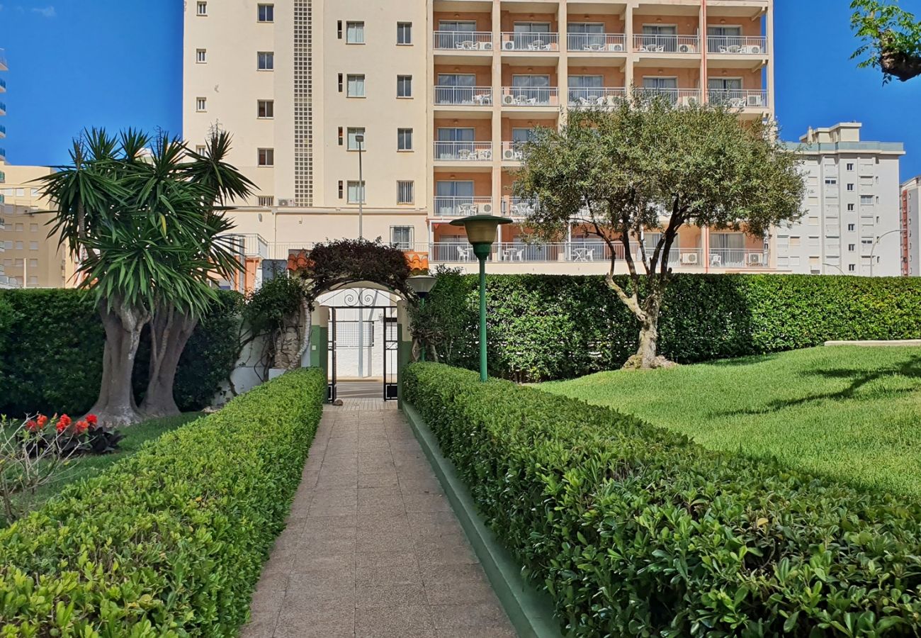 Apartamento en Gandia - GARDENIAS I - 3ª - 9º - E    /   PLAYA DE GANDIA