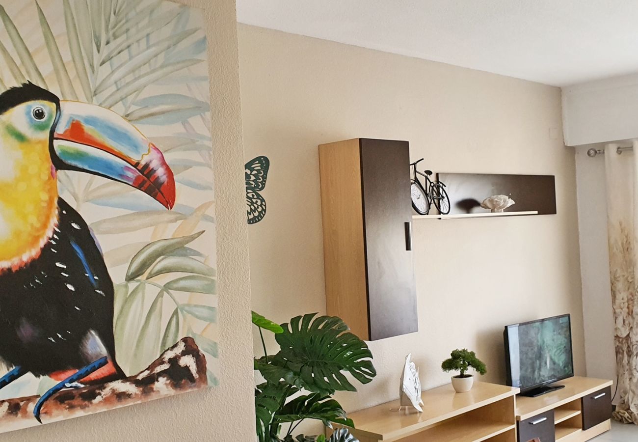 Apartamento en Gandia - GARDENIAS I - 3ª - 9º - E    /   PLAYA DE GANDIA