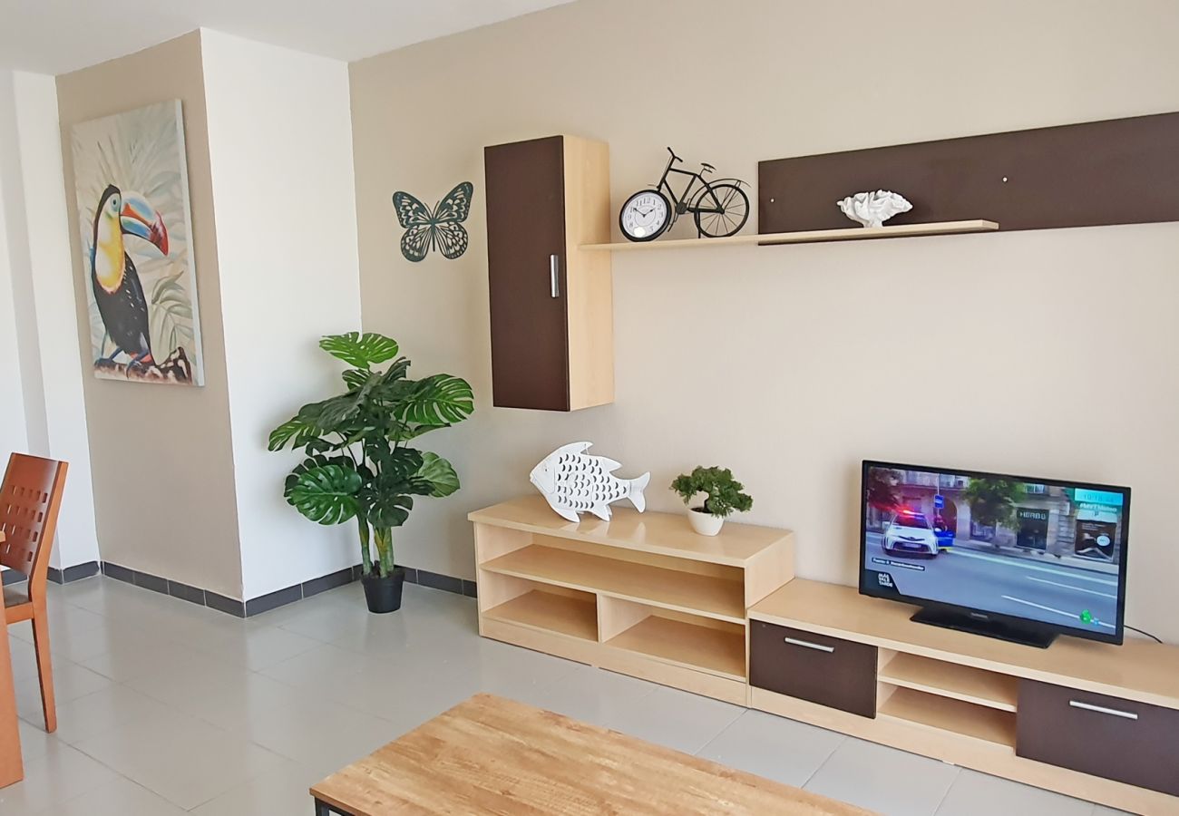 Apartamento en Gandia - GARDENIAS I - 3ª - 9º - E    /   PLAYA DE GANDIA