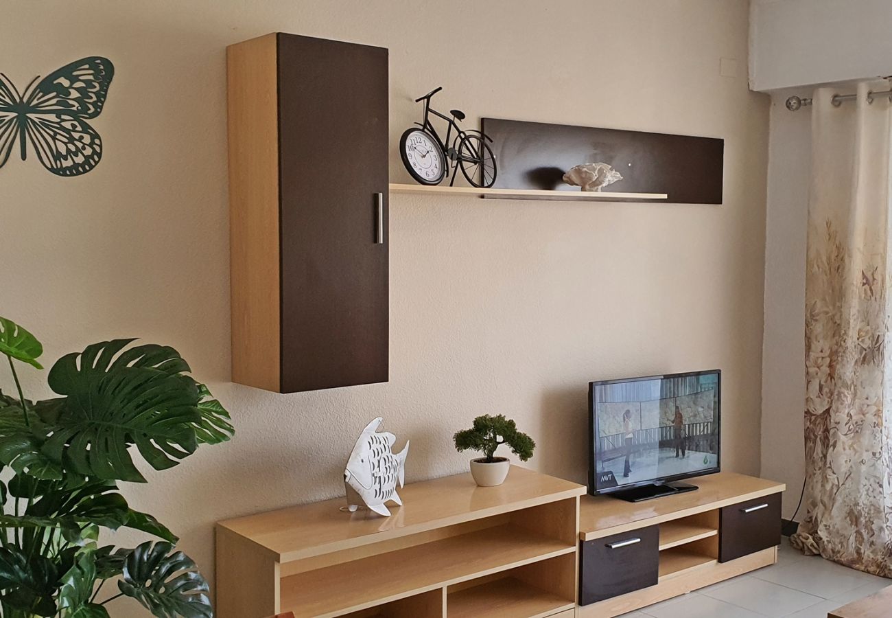 Apartamento en Gandia - GARDENIAS I - 3ª - 9º - E    /   PLAYA DE GANDIA