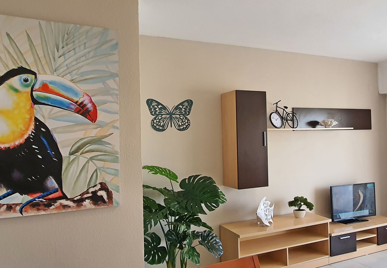 Apartamento en Gandia - GARDENIAS I - 3ª - 9º - E    /   PLAYA DE GANDIA