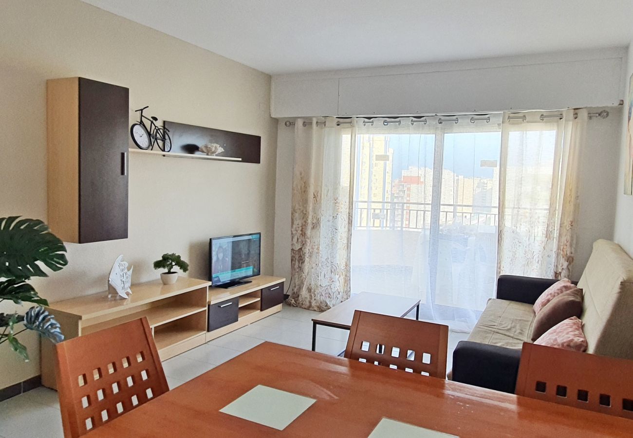 Apartamento en Gandia - GARDENIAS I - 3ª - 9º - E    /   PLAYA DE GANDIA