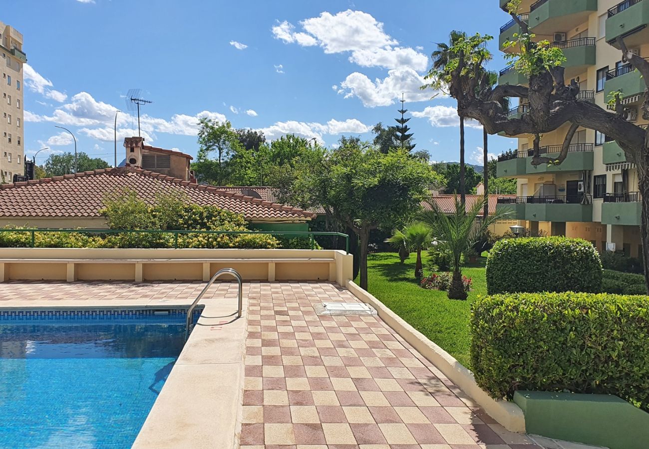 Apartamento en Gandia - GARDENIAS I  4ª - 4º -G    /   PLAYA DE GANDIA