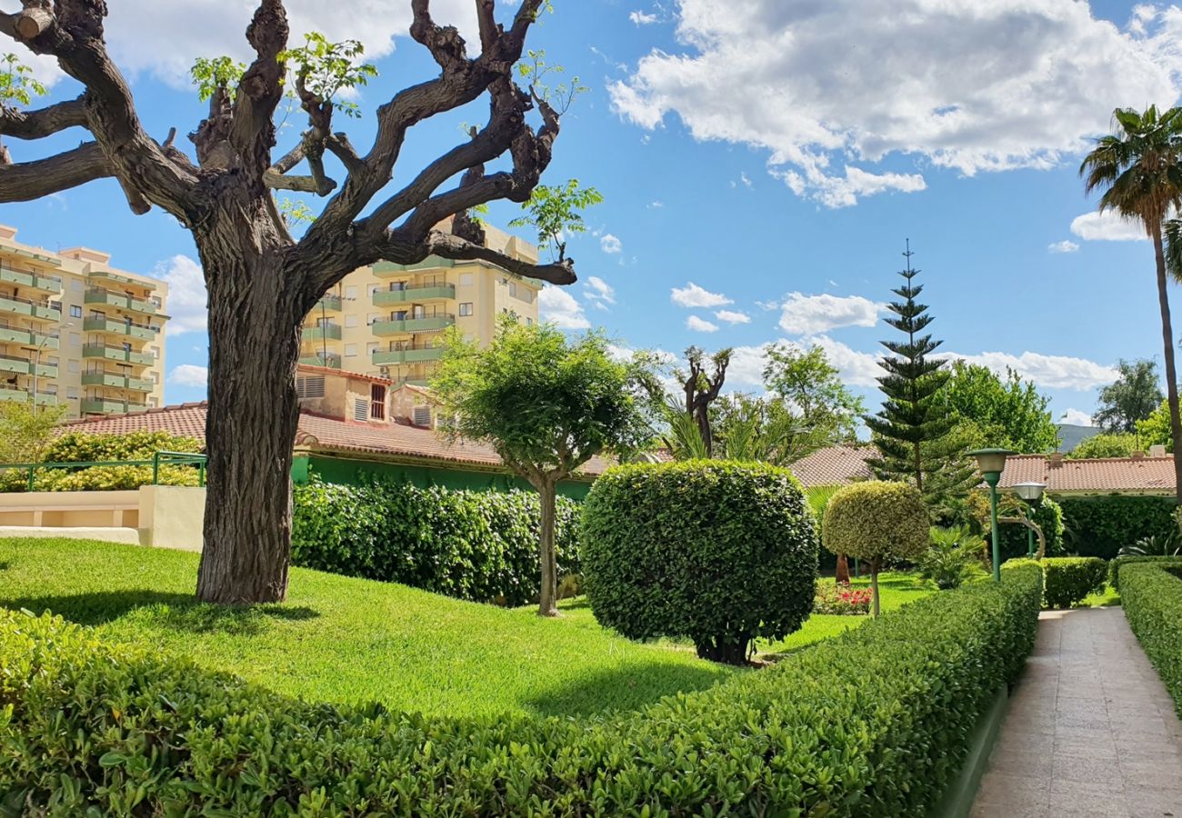 Apartamento en Gandia - GARDENIAS I  4ª - 4º -G    /   PLAYA DE GANDIA