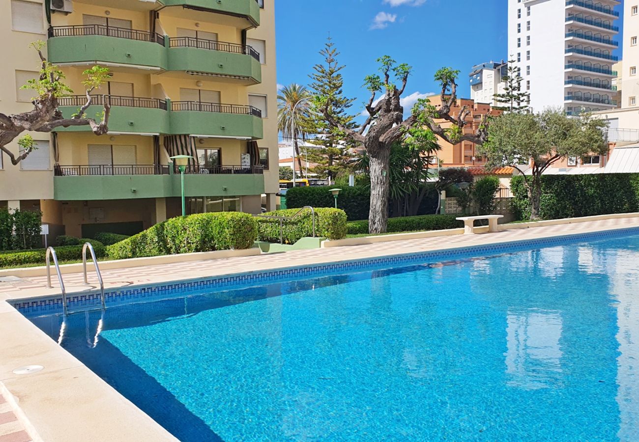 Apartamento en Gandia - GARDENIAS I  4ª - 4º -G    /   PLAYA DE GANDIA