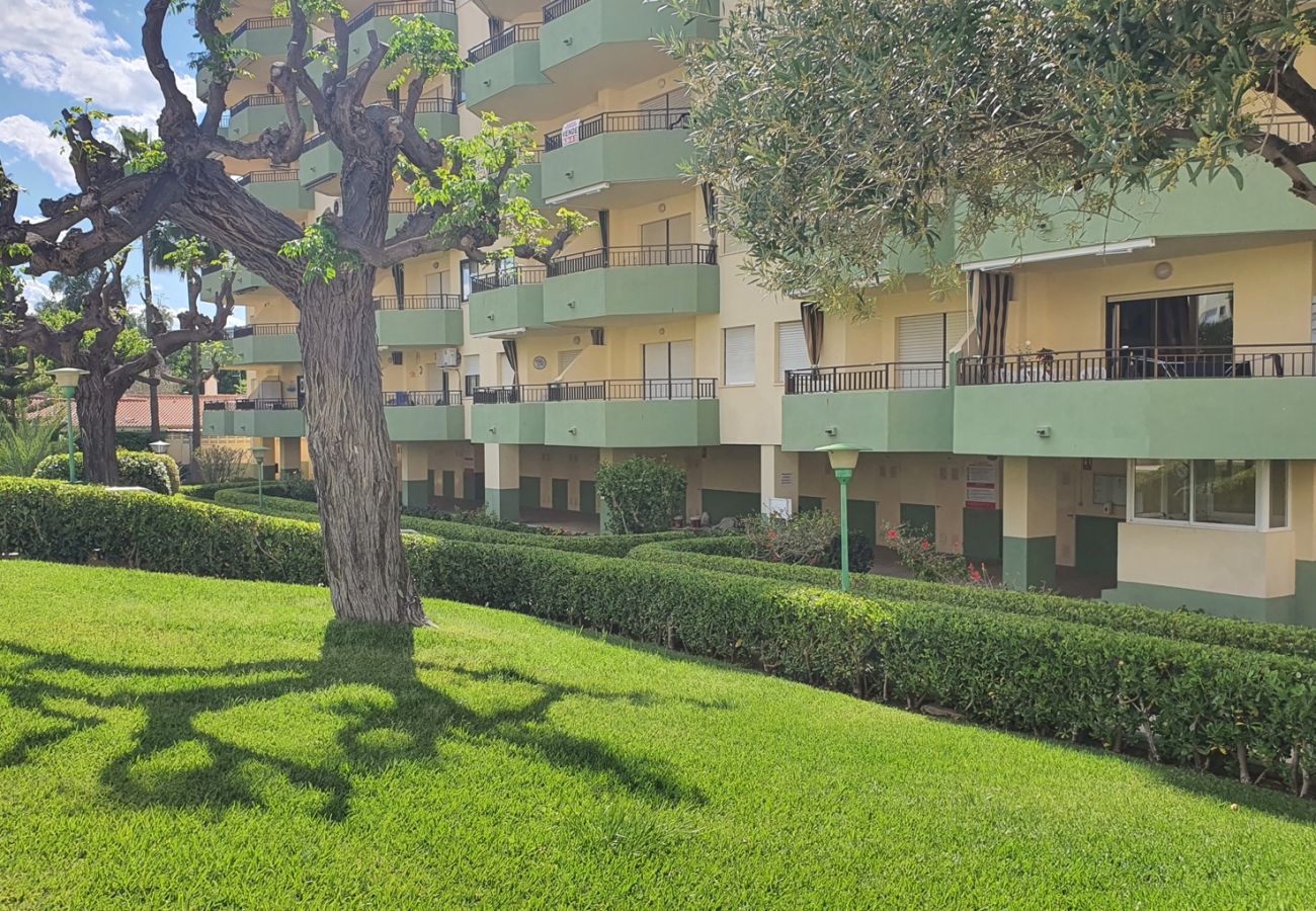 Apartamento en Gandia - GARDENIAS I  4ª - 4º -G    /   PLAYA DE GANDIA