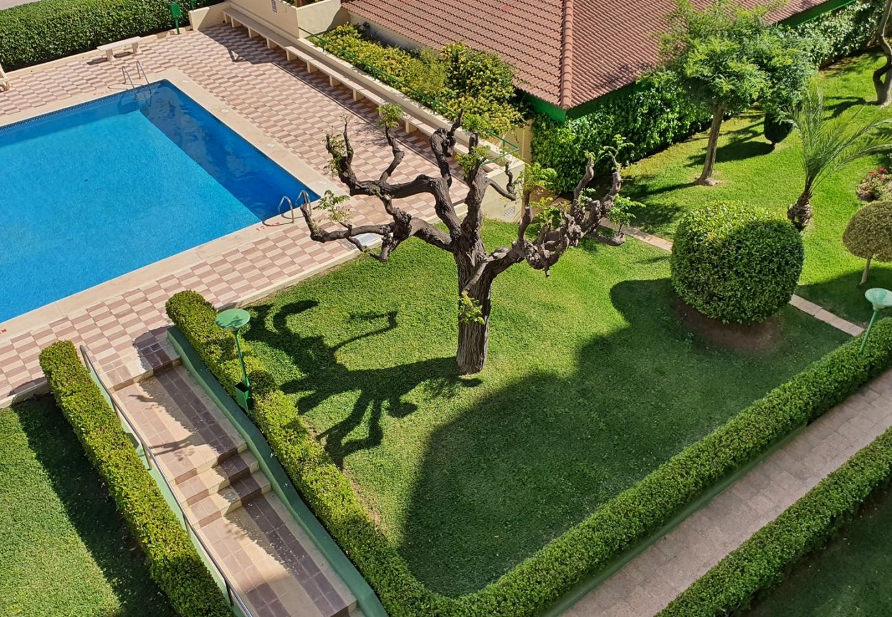 Apartamento en Gandia - GARDENIAS I  4ª - 4º -G    /   PLAYA DE GANDIA